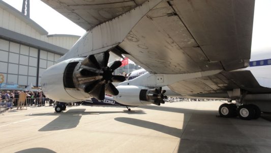 LH-704.jpg