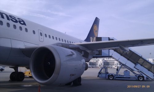 IMAG8808.jpg