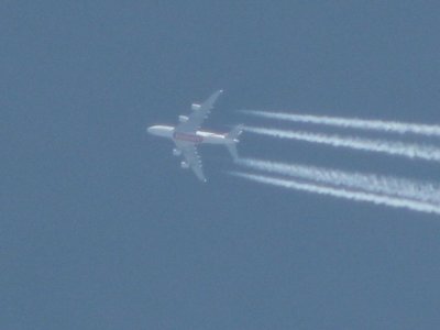 IMG_8895.jpg