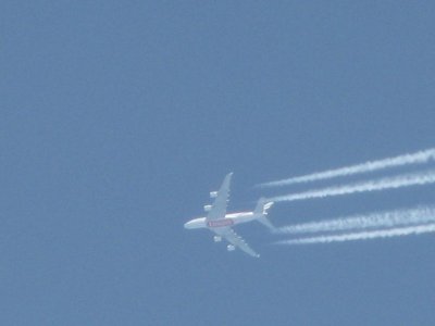 IMG_8896.jpg