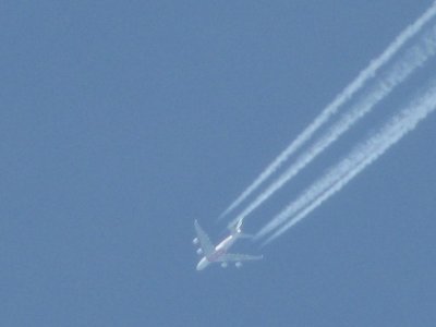 IMG_8897.jpg
