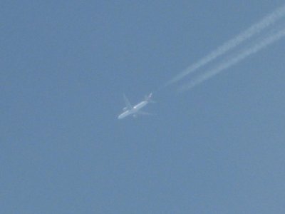 IMG_8893.jpg