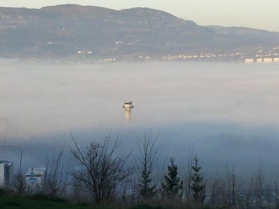 2011-11-10 14.18.04.jpg