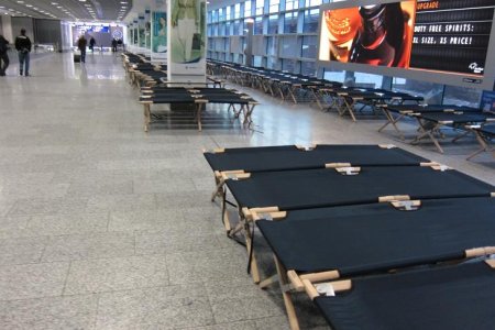 feltseng.JPG