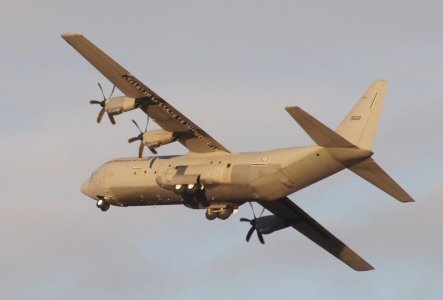 Herc 001.jpg