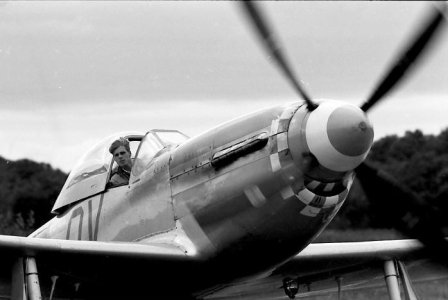 flystevne Stokka.jpg
