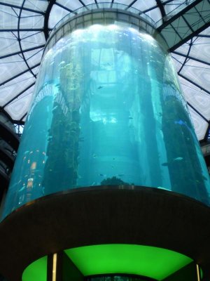 2012-02 Berlin 013.jpg