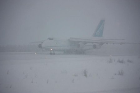 A124-29.02.12.jpg