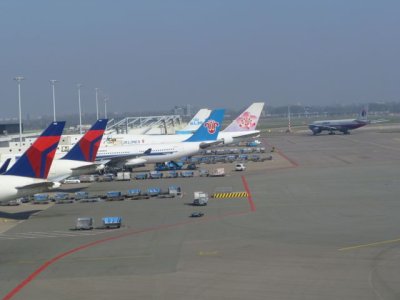 P1000891.jpg