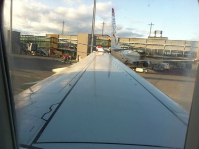 Norwegian.jpg