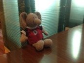 ImageUploadedByTapatalk HD1335047035.074339.jpg ImageUploadedByTapatalk HD1335047035.074339.jpg