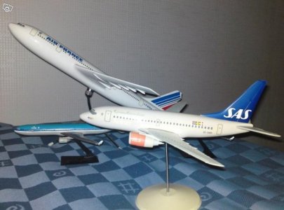 4981200356.jpg