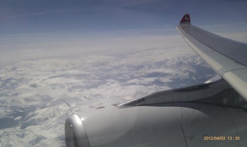 IMAG0608.jpg
