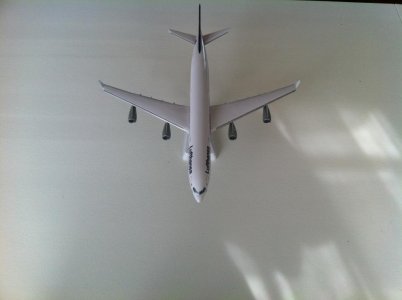 IMG_0859.jpg