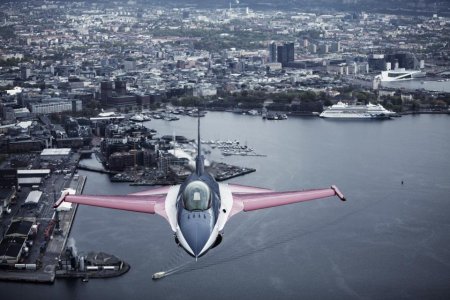 Foto_OleGunnarHenriksenNordli_Jagerfly_03.jpg
