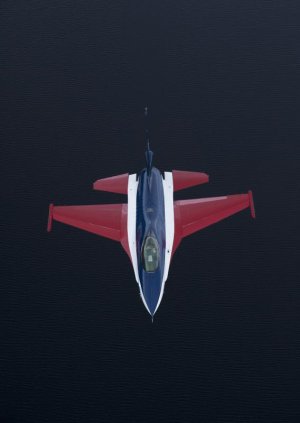 Foto_OleGunnarHenriksenNordli_Jagerfly_13.jpg