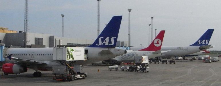 172.jpg