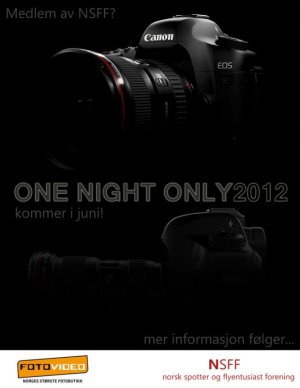 one_night_poster.jpg