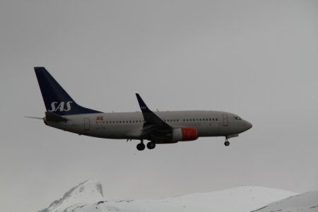 IMG_7921.JPG