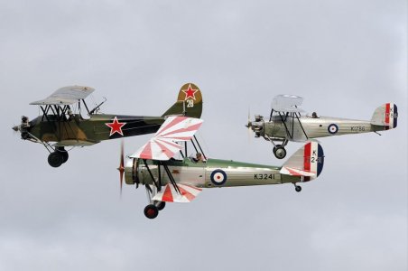 DSC_7921 (1072 x 712).jpg