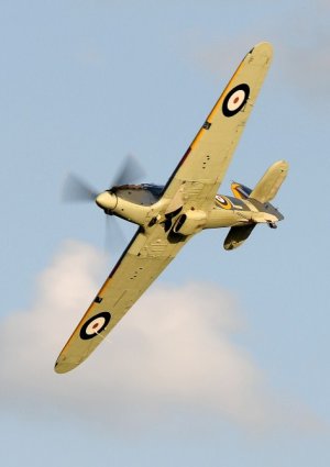 DSC_4827 (473 x 669).jpg