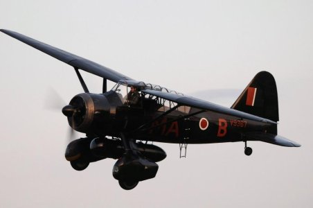 DSC_4995 (1072 x 712).jpg