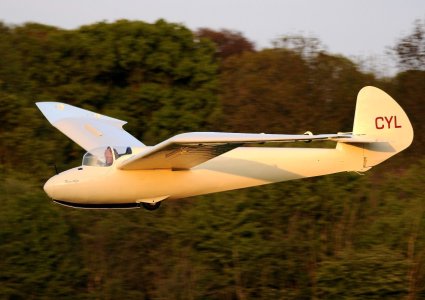 Rhonsperber glider (839 x 593).jpg