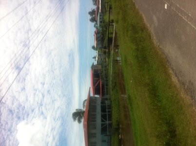 guyana.JPG