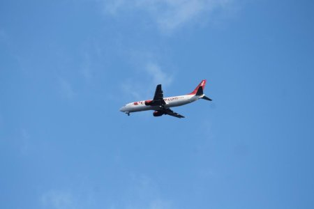 IMG_1154.jpg