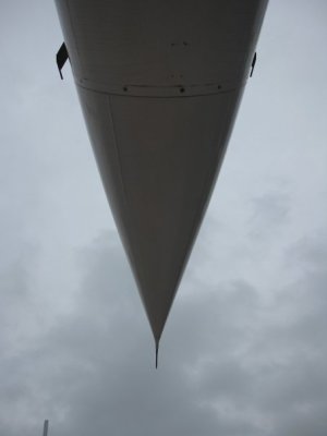 2665_61759477266_7550222_n.jpg