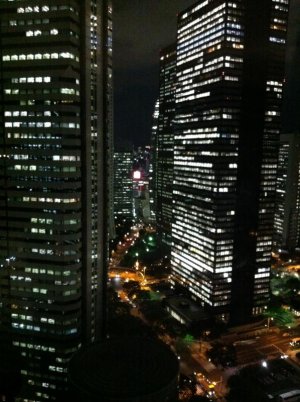 Hilton by night.jpg