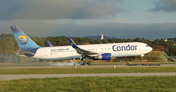 condor.jpg