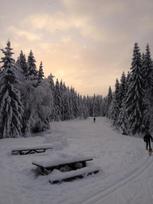 ImageUploadedByTapatalk1356186030.271322.jpg ImageUploadedByTapatalk1356186030.271322.jpg