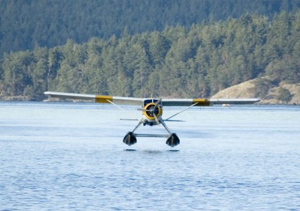 Friday_Harbor1_web.jpg