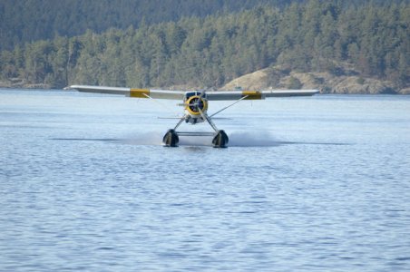 Friday_Harbor2.jpg
