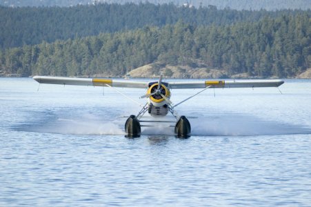 Friday_Harbor3.jpg