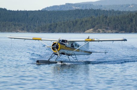 Friday_Harbor4.jpg