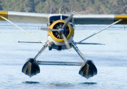 Friday_Harbor6.jpg