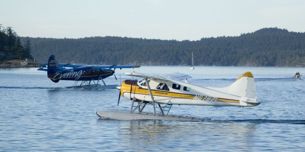 Friday_Harbor7.jpg