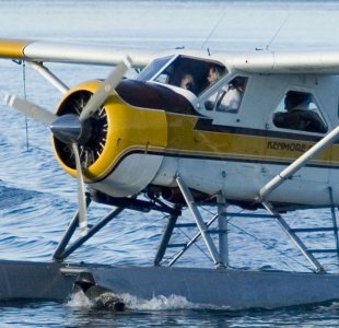 Friday_Harbor9.jpg