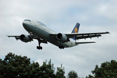 fly-126.jpg