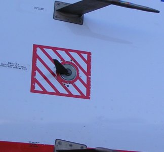 P2050225 edited 2.jpg