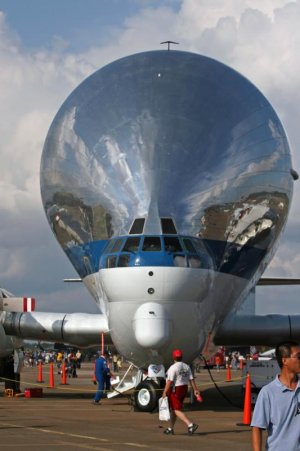 guppy.jpg