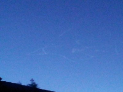20130403_054702.jpg