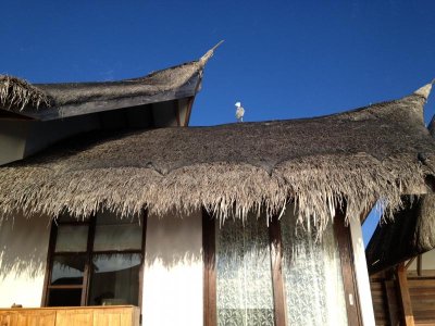 photo 2.jpg