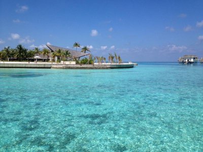 photo 1.jpg