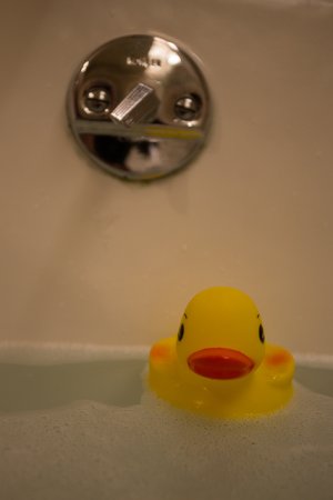 Conrad duck.jpg
