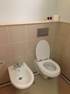 ImageUploadedByTapatalk1371120987.033090.jpg
