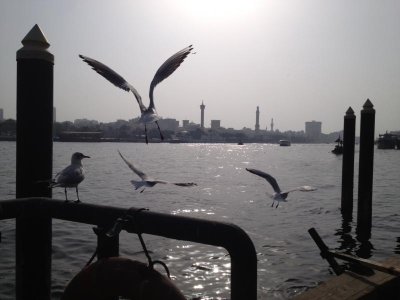 photo 01.jpg