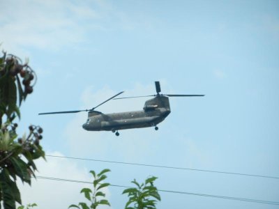 DSCN4713.jpg
